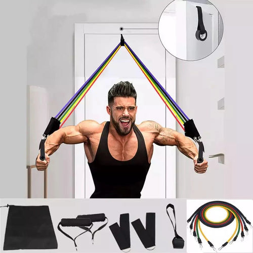 Resistance Bands Set for Home Gym full kit view