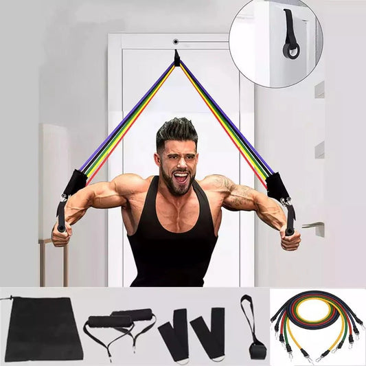 Resistance Bands Set for Home Gym full kit view